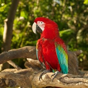 Meet your Posher, Rosa